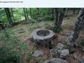 843992300023
