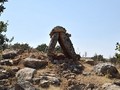 Ad?yaman Besni Kargal? Dolmen Mezarlar?