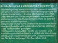 3847965802