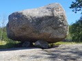 9099087811