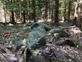 9843459238523