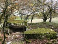 dolmen de Lapeyrieres