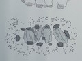 3569900000