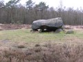 77249209132