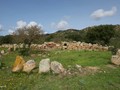 9790843536