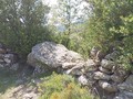 7896452032