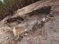 93405235325