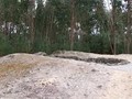 94857279439