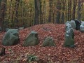 673495221