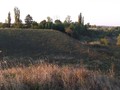 DSCF4552