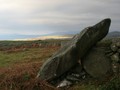 8790532043