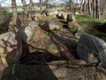 Steinkimmen-Steingrab-1-e