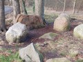 589679430543