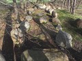 Steinkimmen-Steingrab-1-d