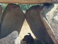 89438959023