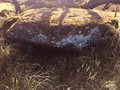 28348972804-12425223
