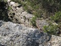 91304837315