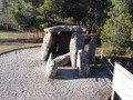 75792390481