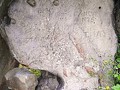 7884569834