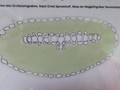 129401348315