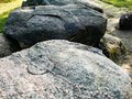8796097467