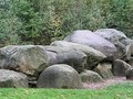 4536362646