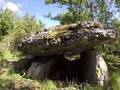 224563732