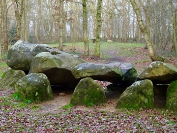 Дольмен D25