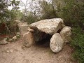 8790456034-2