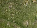 769374052