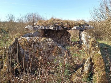 Дольмен Паркнабинния