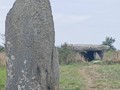 2895764213