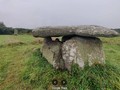 55902917857736