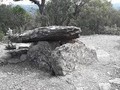 8950285233
