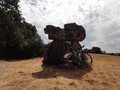 577967806054