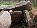 Pedra da Arca