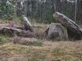 7459792032