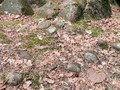 8975634734