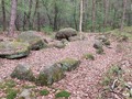 546798340534
