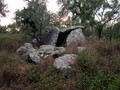 8898690571