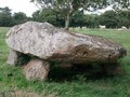 494430605876261