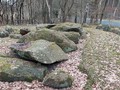 78493589239023