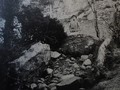 1932