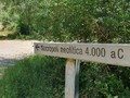 98928437122