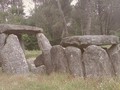 275829481721