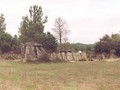 723647983217