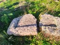 7689843759203