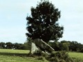 Glencloghlea-portal-tomb