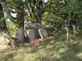 9294871043