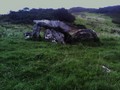 970949073-6